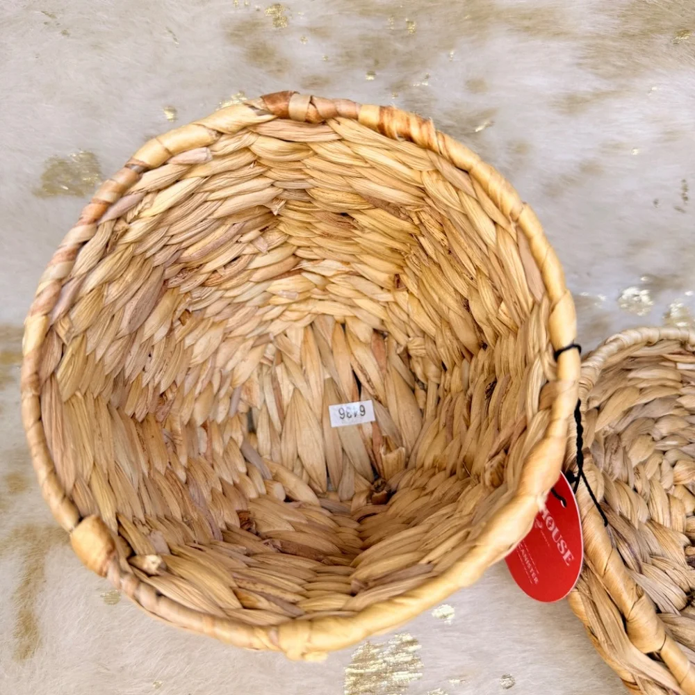 Woven Lidded Storage Basket‎ Beige Wicker With Plastic Container 8x6.75